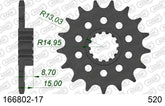 Pignone AFAM 166802-17 Passo 520 BMW M 1000 RR 2021  -2022